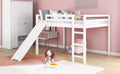 Loft Bed With Slide, Multifunctional Design, Full