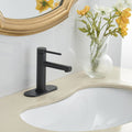 Single Hole Single Handle Bathroom Faucet in