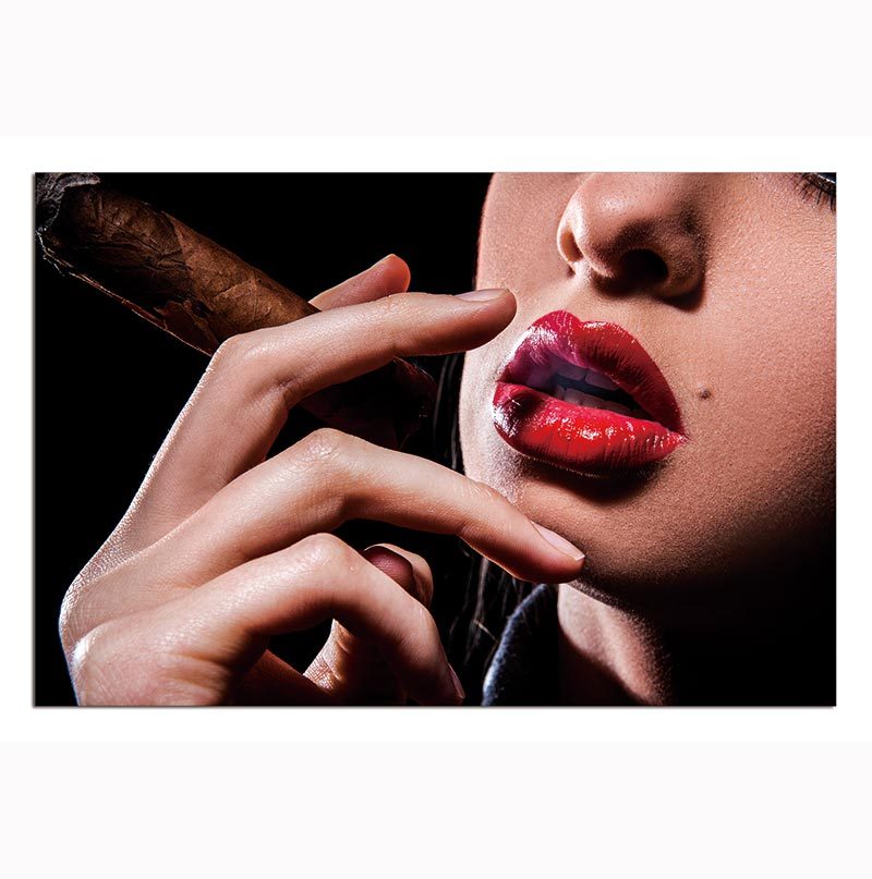 Oppidan Home "Red Lip Cigar" Acrylic Wall Art