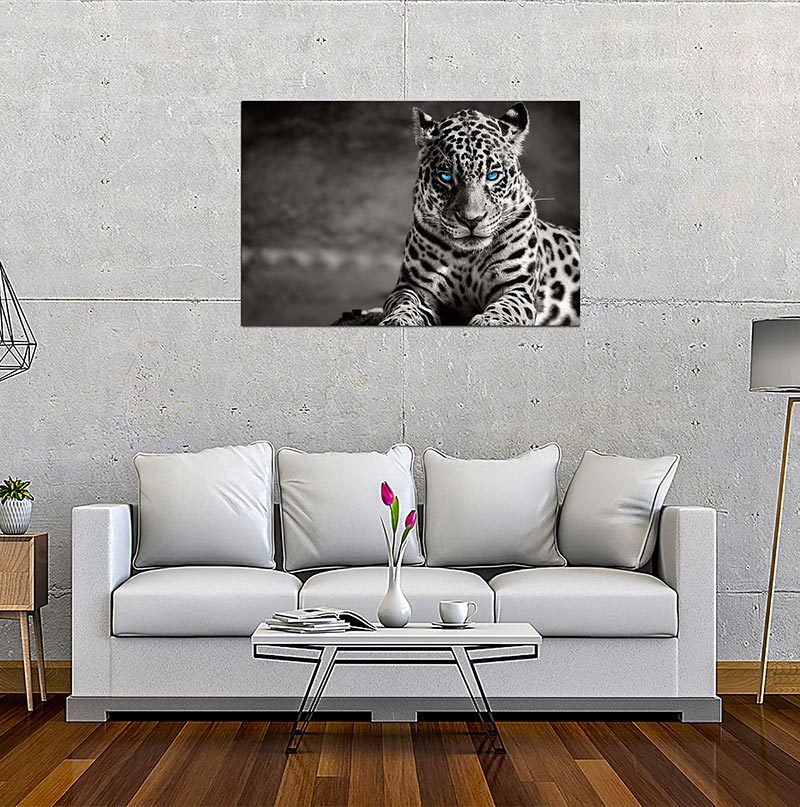 Oppidan Home "Spotted Leopard in Black and White"