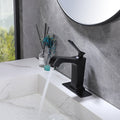 Single Hole Single Handle Bathroom Faucet with Matte matte black-brass