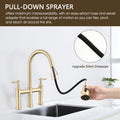 Double Handle Bridge Kitchen Faucet With Pull Down brushed gold-stainless steel