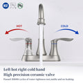 Bathroom Faucet Brushed Nickel with Pop up Drain & brushed nickel-metal