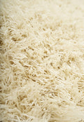 Shag Ivory Area Rug 5x8