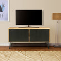 Tv Entertainment Unit with 2 Doors and Wooden