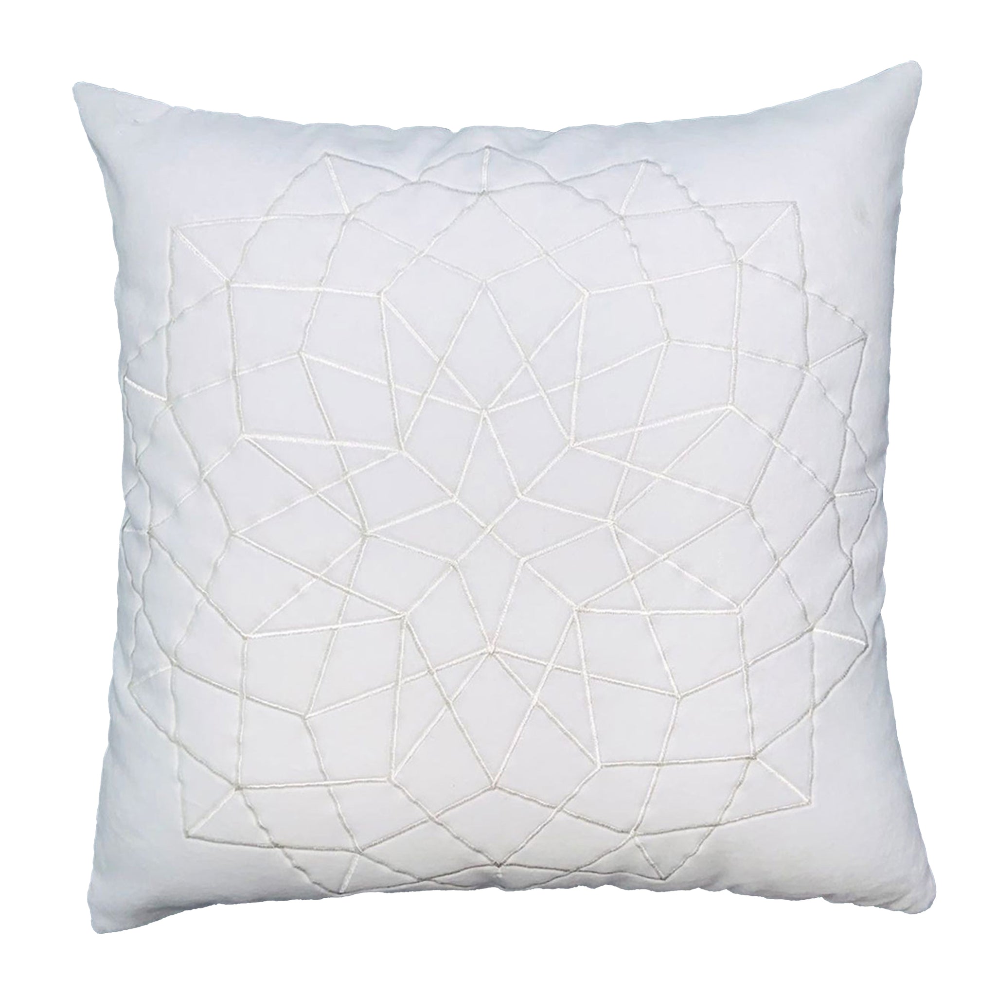 Hugo 20 x 20 Square Accent Throw Pillow, Embroidered white-cotton