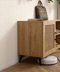 Modern Shoe Storage Cabinet with Natural Rattan