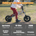 Children's outdoor off road electric bicycle gray-aluminium alloy-aluminium alloy