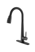 Black Kitchen Faucets with Pull Down Sprayer,