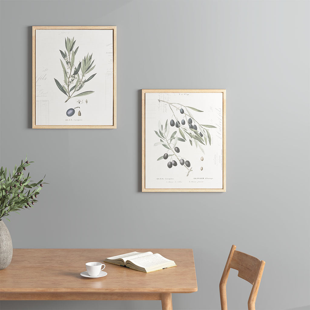 Botanical Illustration 2 piece Framed Canvas Wall Art neutral-wood