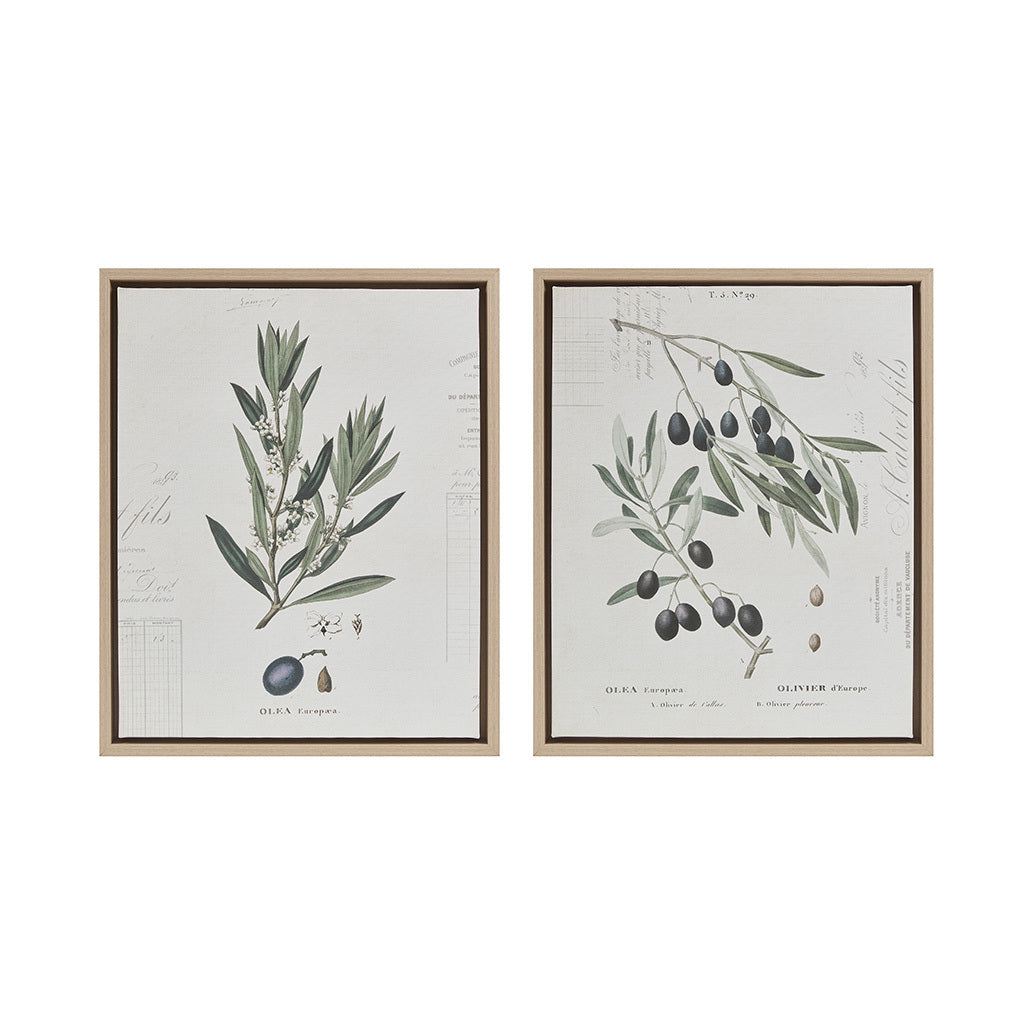 Botanical Illustration 2 piece Framed Canvas Wall Art neutral-wood