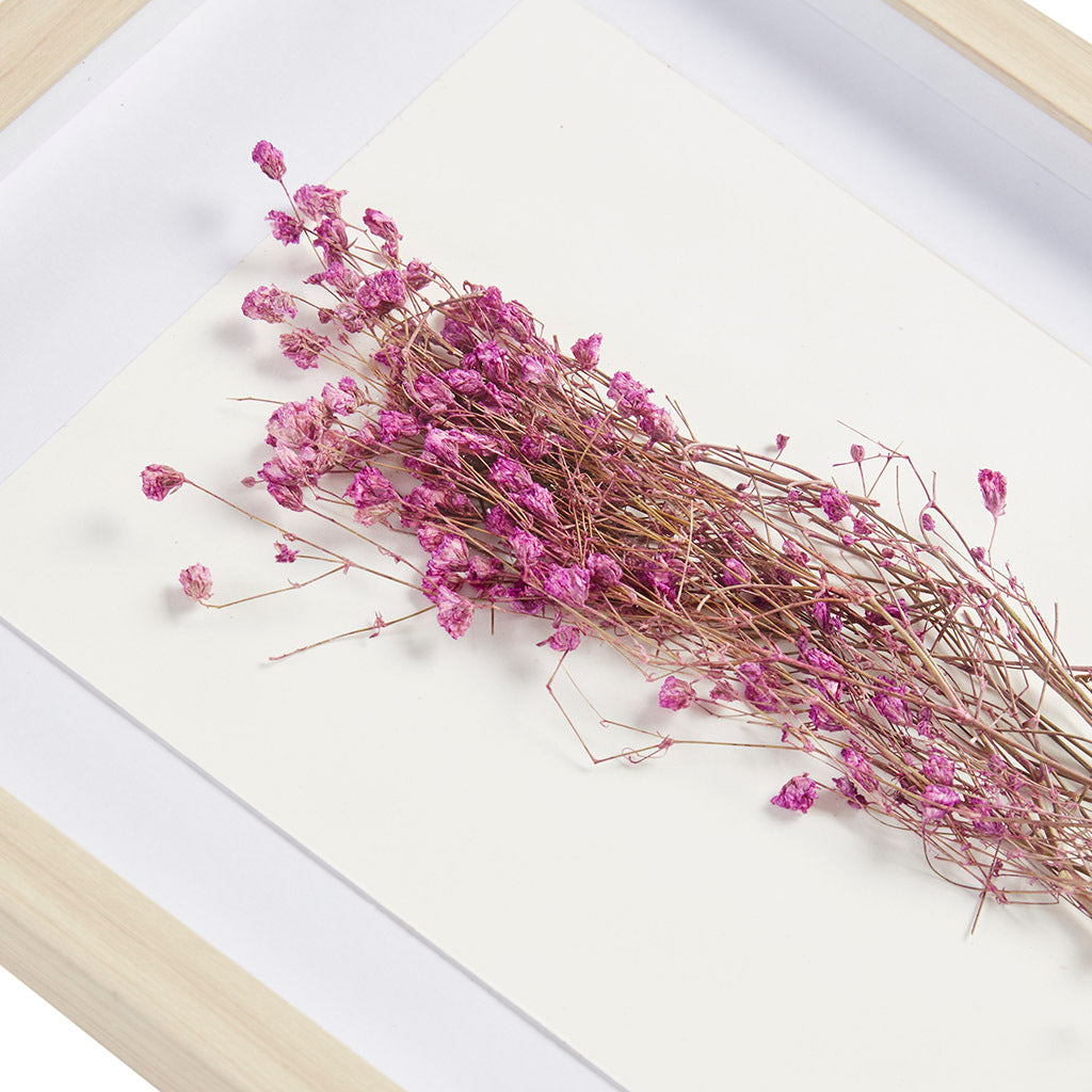 Dried Flower 2 piece Shadow Box Wall Decor Set