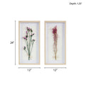 Dried Flower 2 piece Shadow Box Wall Decor Set