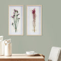 Dried Flower 2 piece Shadow Box Wall Decor Set