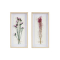 Dried Flower 2 piece Shadow Box Wall Decor Set