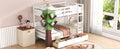 Twin Over Twin Bunk Bed with a Tree Decor and Two white-solid wood