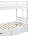 Twin Over Twin Bunk Bed with a Tree Decor and Two white-solid wood