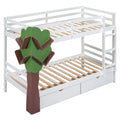 Twin Over Twin Bunk Bed with a Tree Decor and Two white-solid wood