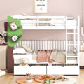 Twin Over Twin Bunk Bed with a Tree Decor and Two white-solid wood