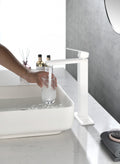 BATHROOM FAUCET Single Handle Bathroom Sink Faucet white-stainless steel