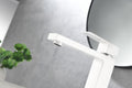 BATHROOM FAUCET Single Handle Bathroom Sink Faucet white-stainless steel