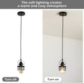 Industrial Black Pendant Light Metal Cage Pendant black-metal