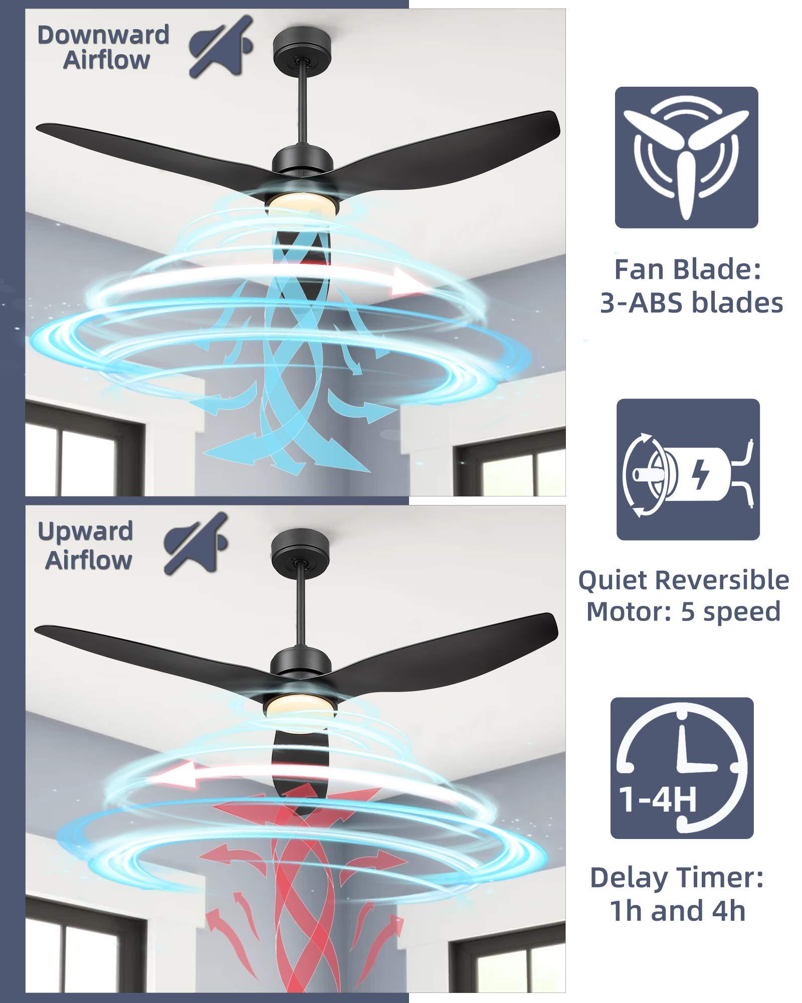 Fan lights