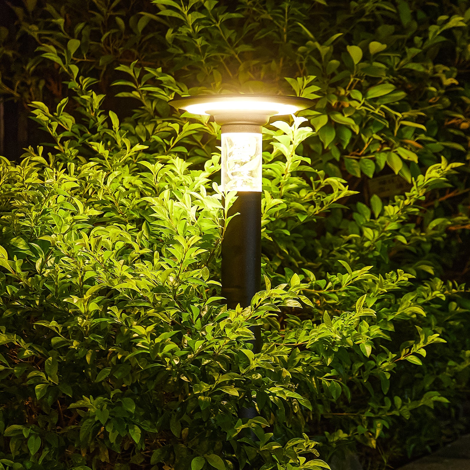 Solar Lawn Light With Dimmable Led