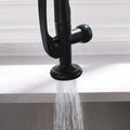 Commercial Kitchen Faucet Pull Down Sprayer Black and black and