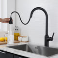 Kitchen Faucet With Pull Down Sprayer Matte Black