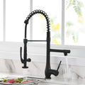 Commercial Kitchen Faucet Pull Down Sprayer Black and black and