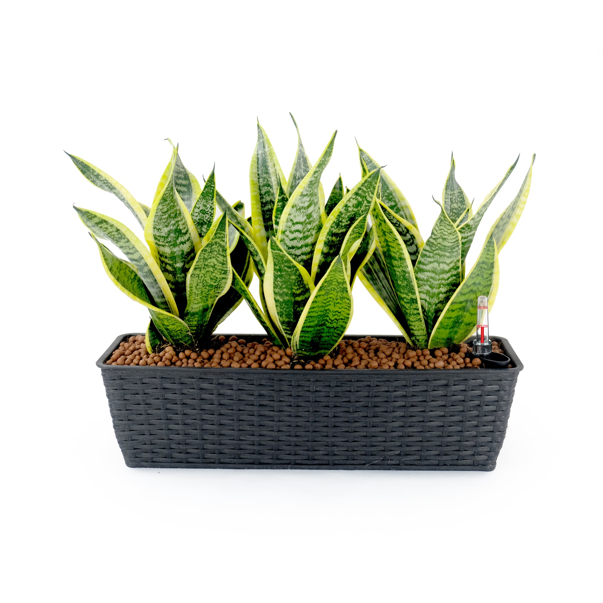 2 Pack Smart Self watering Rectangle Planter for espresso-plastic+rattan