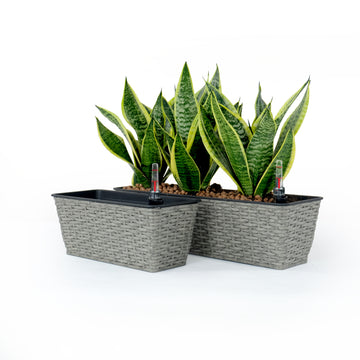 2 Pack Smart Self watering Rectangle Planter for gray-plastic+rattan