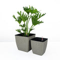 2 Pack Self watering Planter Hand Woven Wicker Thin gray-plastic+rattan