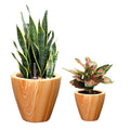 2 Pack 10 in. Light Wood Plastic Self watering Planter light brown-abs