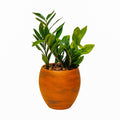 Smart Self watering Round Planter Pot for Indoor and terracotta-abs