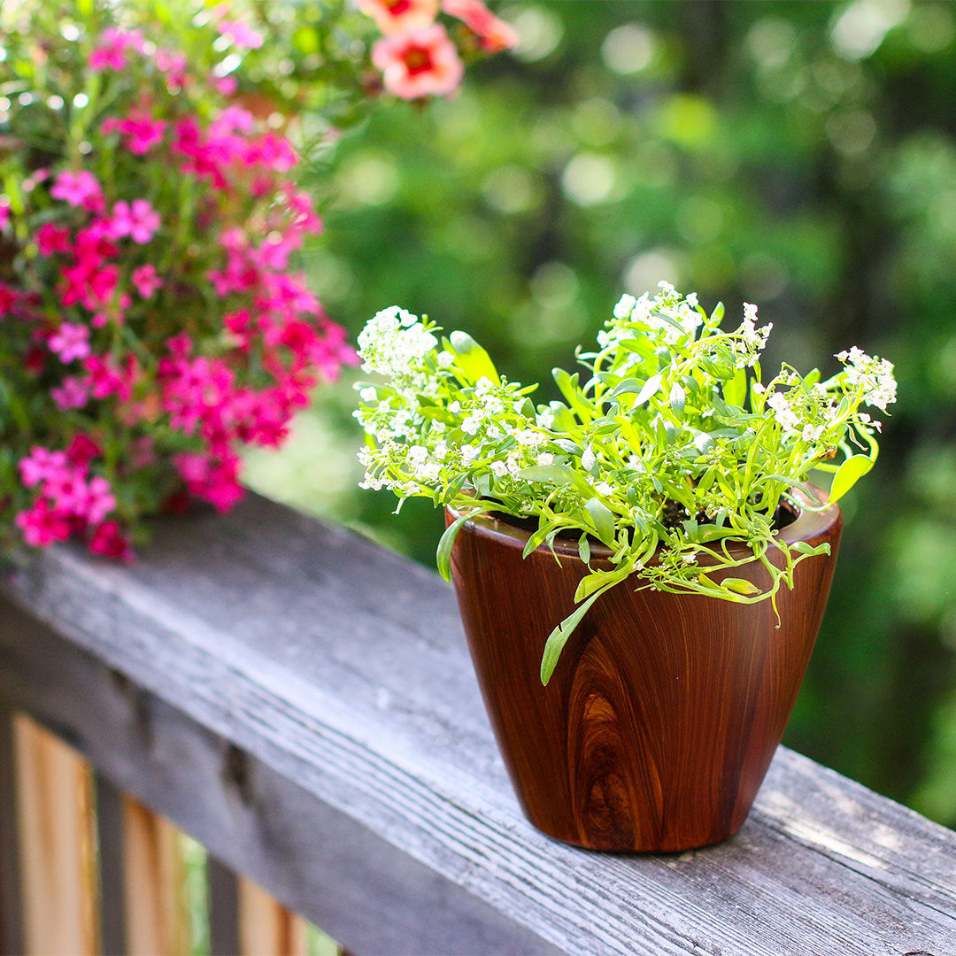 2 Pack 10 in.Dark Wood Plastic Self watering Planter dark brown-abs