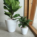 2 Pack Smart Self watering Planter Pot for Indoor and white-abs