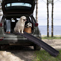 Portable Foldable Pet Ramp Climbing Ladder