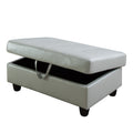 Rectangular Upholstered Ottoman With Storage And silver multi-foam-faux leather