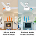 42 In Intergrated Led Ceiling Fan Lighting With