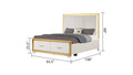 Obsession Contemporary Style Queen Tufted Bed