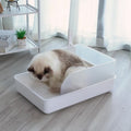 Spacious 20 Inch Open Cat Litter Box with Snap On