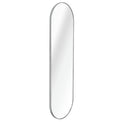 Silver 63 X 20In Pill Shaped Full Lenghth Mirror