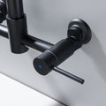 Double handle pull in kitchen faucet