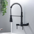 Double handle pull in kitchen faucet