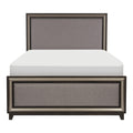 Ebony Finish and Silver Lining Modern Queen Bed Gray box spring