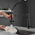 Commercial Kitchen Faucet Pull Down Sprayer Black and black-kitchen-contemporary-ceramic-brass