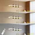 Javeriah 4 Light Black Gold Dimmable Led Pendant