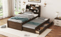 Twin Size Wooden Led Platform Bed With Trundle,